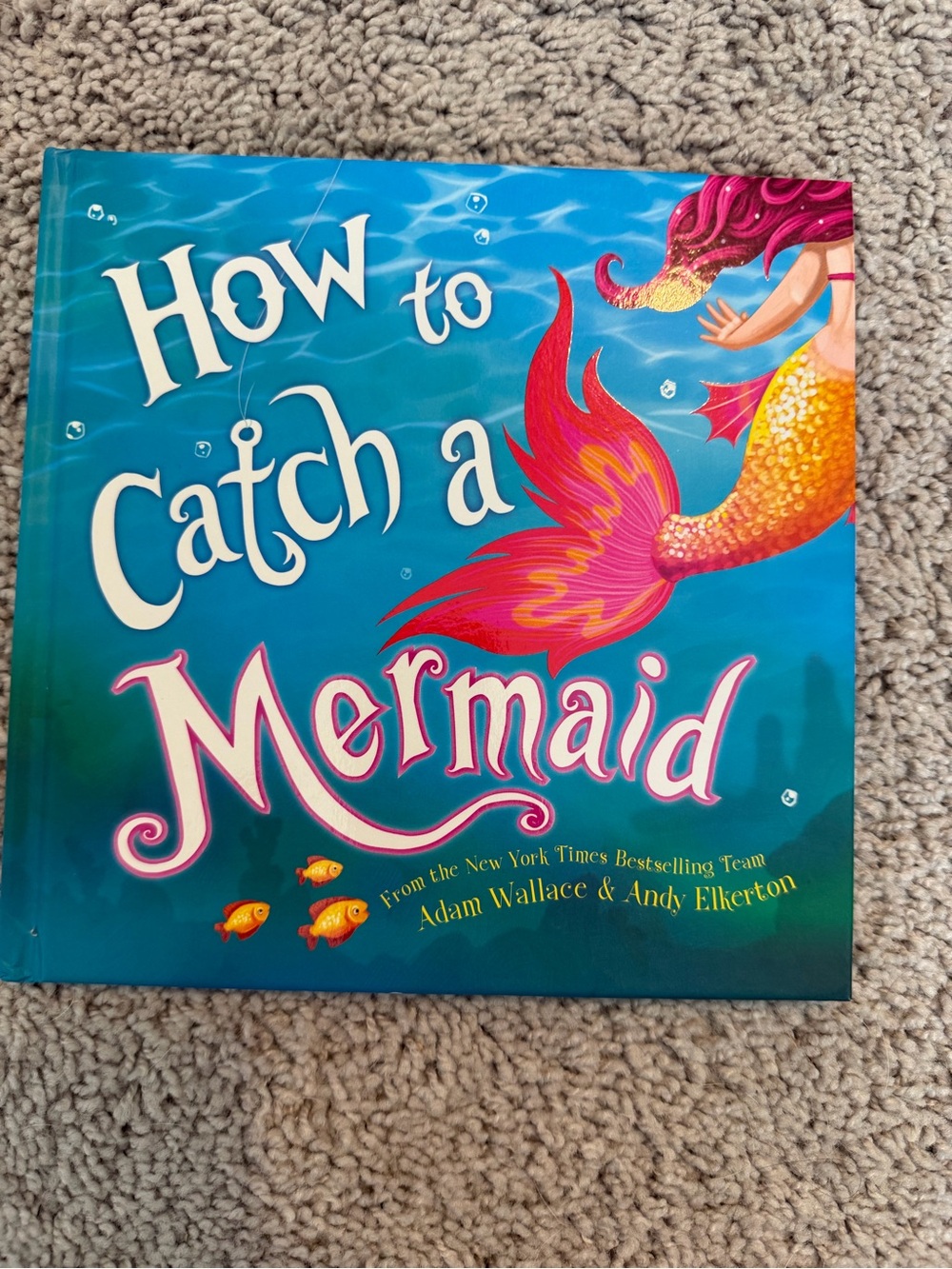 How to Catch a Mermaid - Blue & Pink Cover